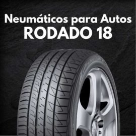 Neumáticos para Autos Rodado 18